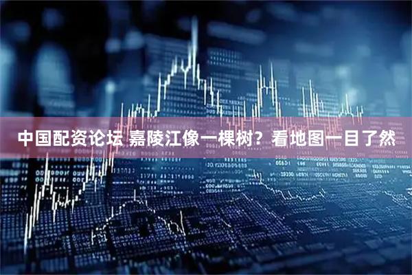 中国配资论坛 嘉陵江像一棵树?看地图一目了然