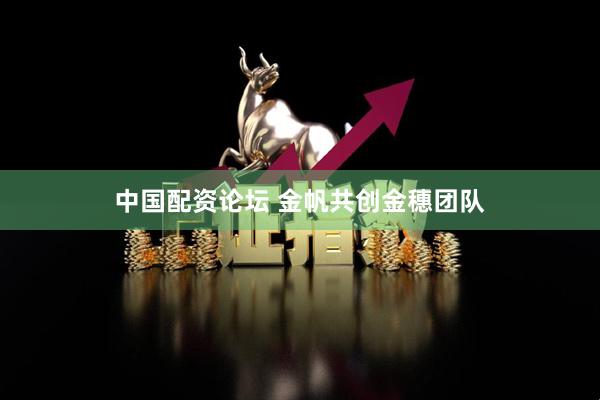 中国配资论坛 金帆共创金穗团队
